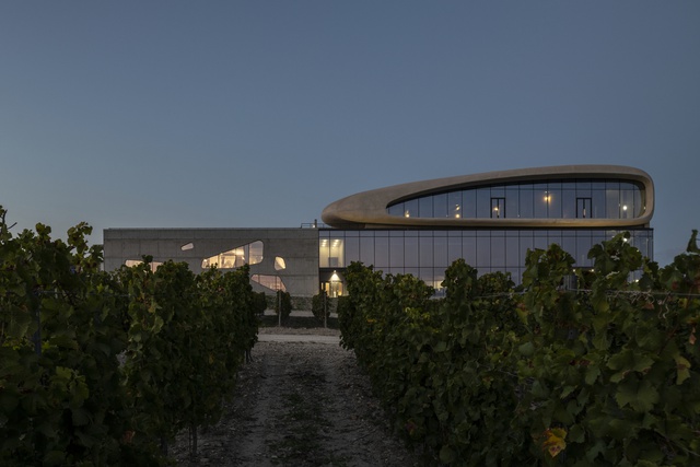 Бионическая архитектура винодельни Côte Rocheuse