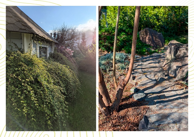 Садово-парковое искусство