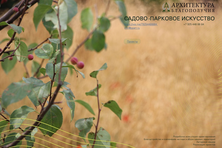 Садово-парковое искусство. Портфолио