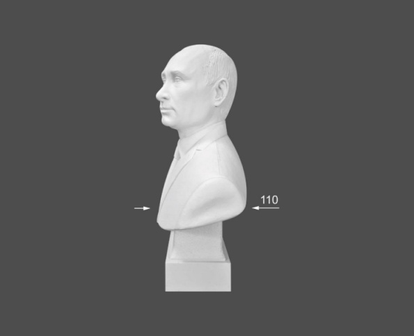 Бюст Президент РФ Путин В.В - С 10 размеры
