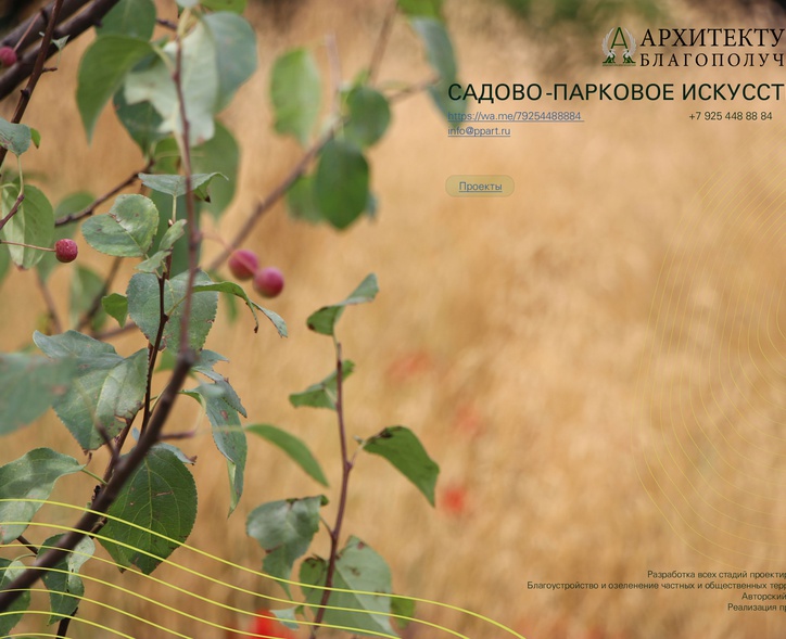 Садово-парковое искусство. Портфолио
