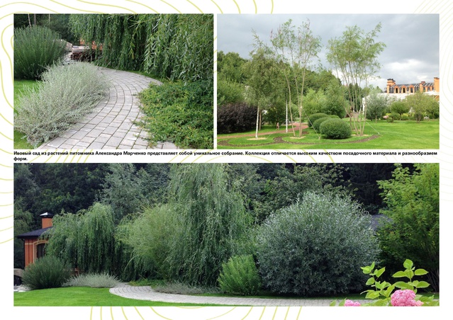 Садово-парковое искусство