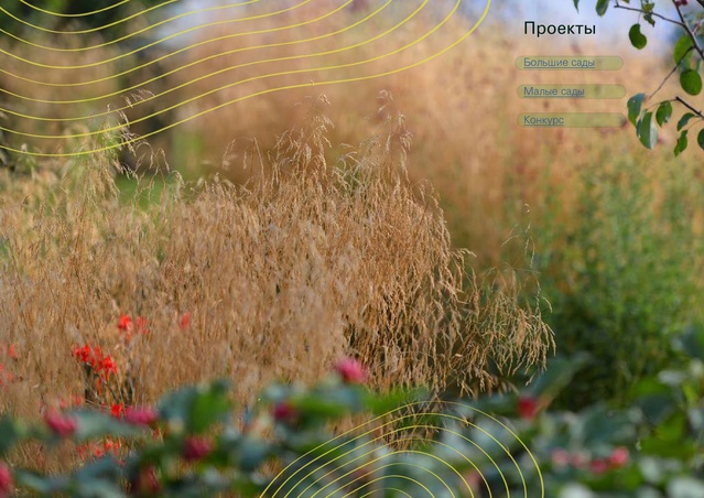 Садово-парковое искусство