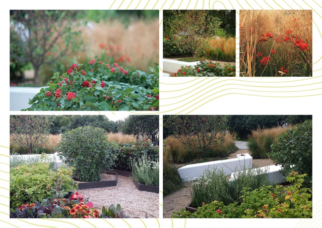 Садово-парковое искусство